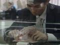 В КНР выпустят американские кредитки