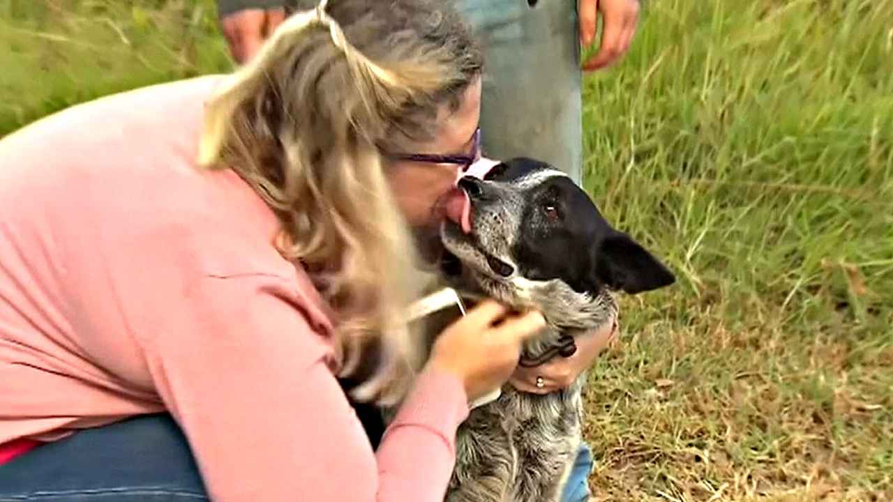 Благодарная девушка вымыла спасителя собаки и оседлала член