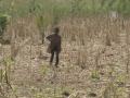 Феномен Эль-Ниньо принес голод на Гаити