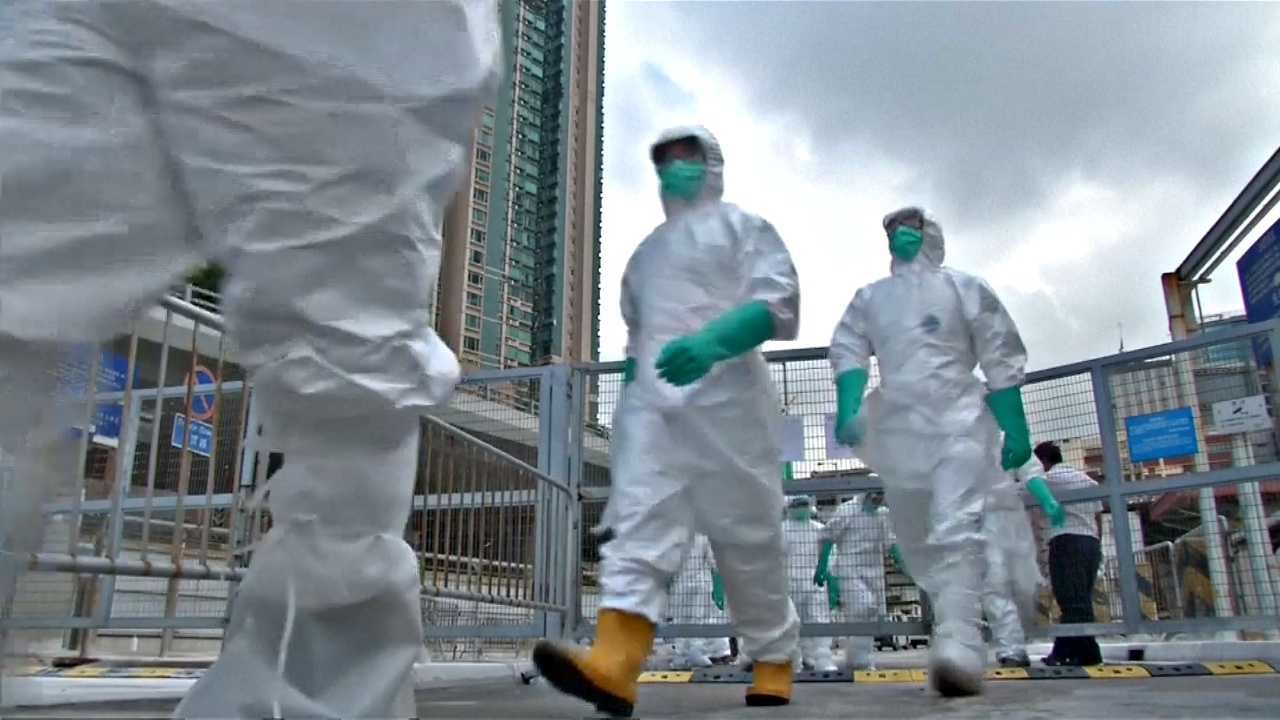 В Гонконге уничтожили тысячи птиц из-за H7N9