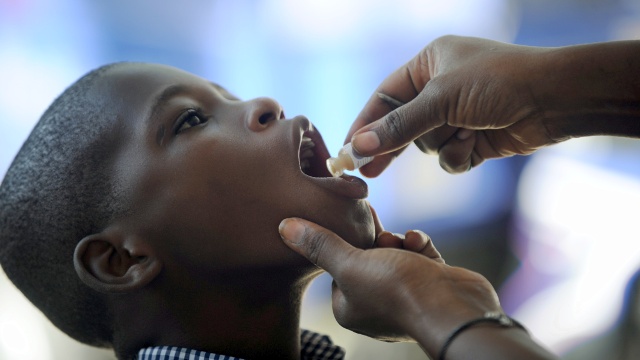 Конго нуждается в вакцинах от жёлтой лихорадки