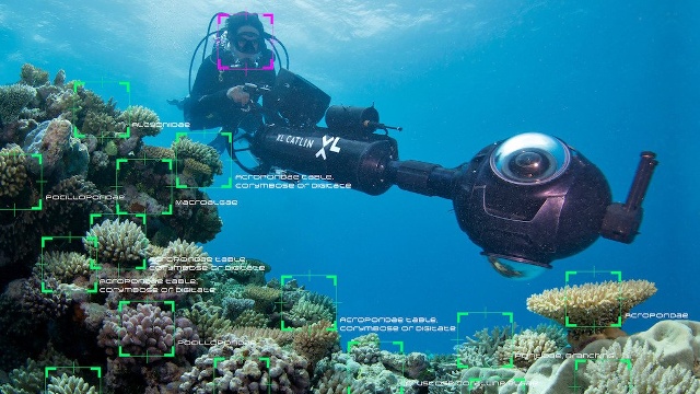Следить за рифами помогают современные технологии