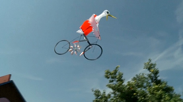 Тайванец сделал воздушного змея в виде велосипеда