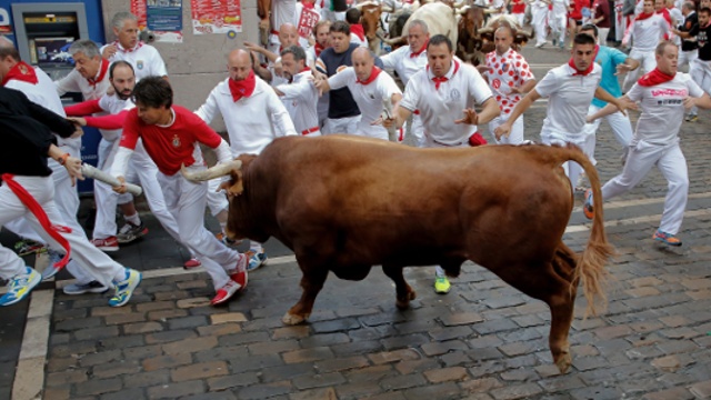 В Памплоне продолжаются популярные забеги с быками