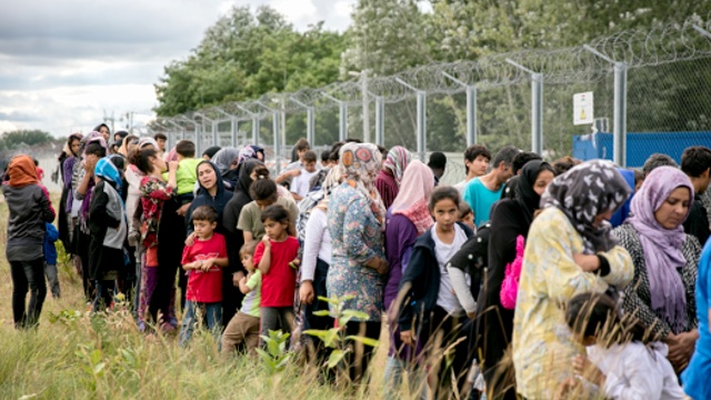 Мигранты голодают, требуя открыть границу Венгрии
