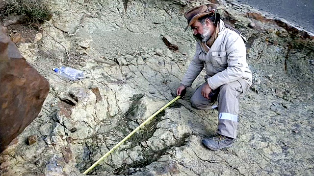 В Боливии нашли огромный след динозавра
