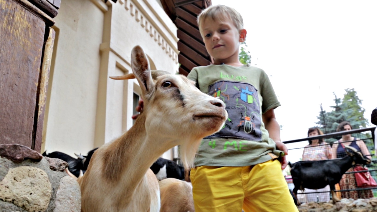 5-летний Илья – юный гид Московского зоопарка