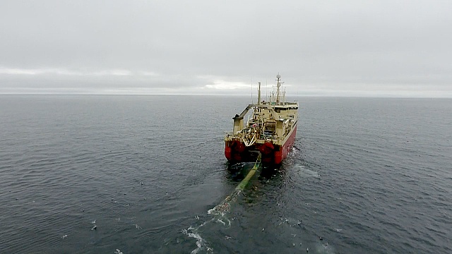 Чрезмерное рыболовство угрожает экосистеме Арктики