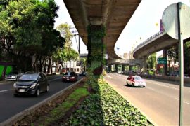 Мексика: вертикальные сады против загрязнения