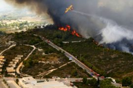 1000 человек бежали от пожара на курортном побережье Испании