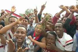 Власти Эфиопии ввели режим ЧП в ответ на протесты