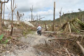 Последствия урагана на Гаити: холера и разрушенные дороги
