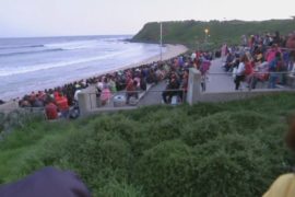 Парад пингвинов на острове Филлип собирает тысячи зрителей