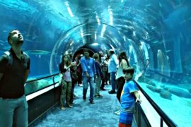 В Рио откроют самый большой аквариум в Латинской Америке
