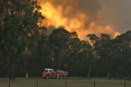 В Новом Южном Уэльсе частично введён режим ЧП из-за пожаров
