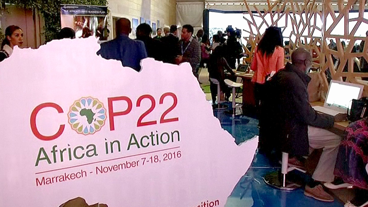 На климатической конференции обсуждают проблемы Африки