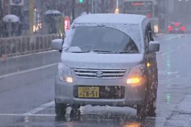 В Токио выпал первый за 54 года ноябрьский снег