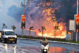 Пожары в Израиле: в Хайфе сгорели сотни домов