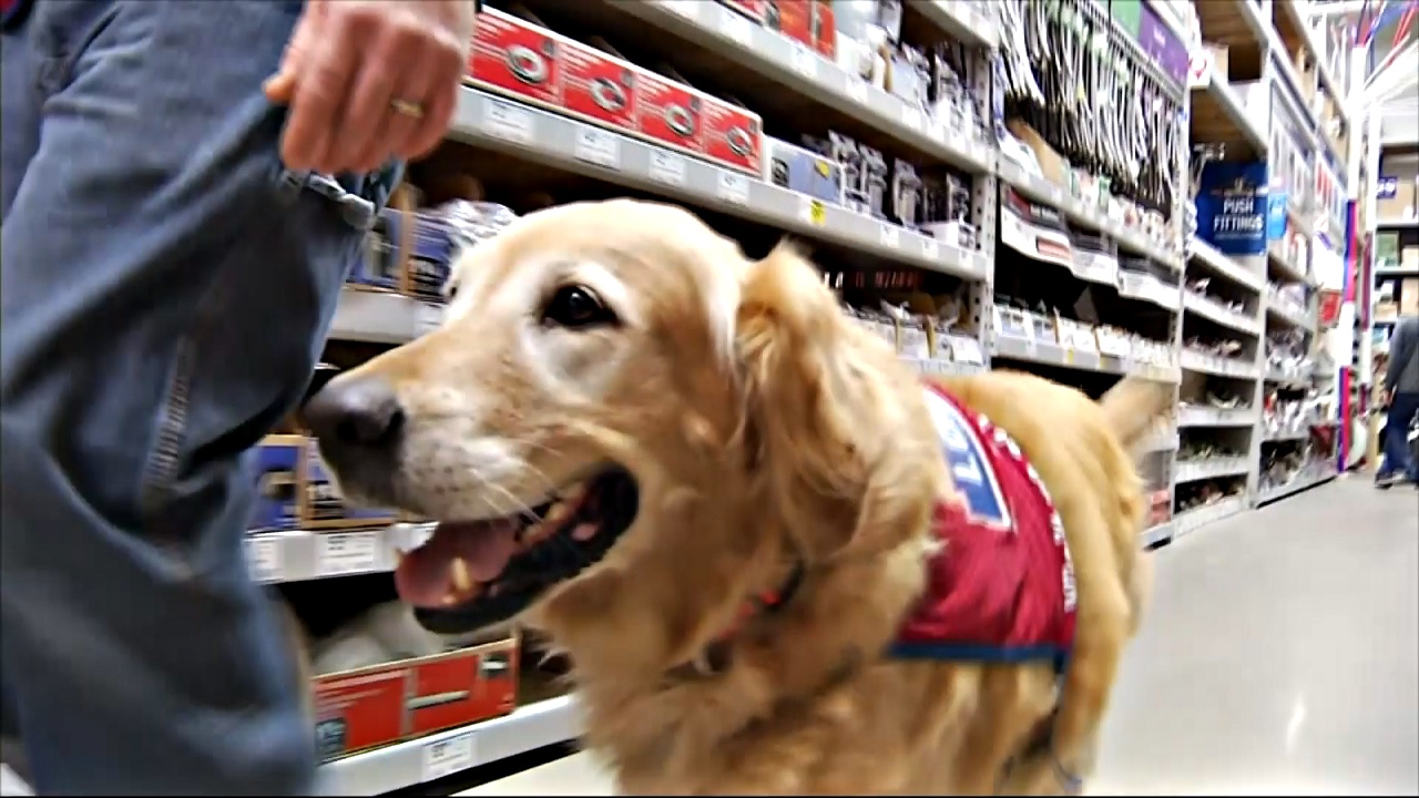 США: ветеран и его собака-помощник стали звёздами супермаркета