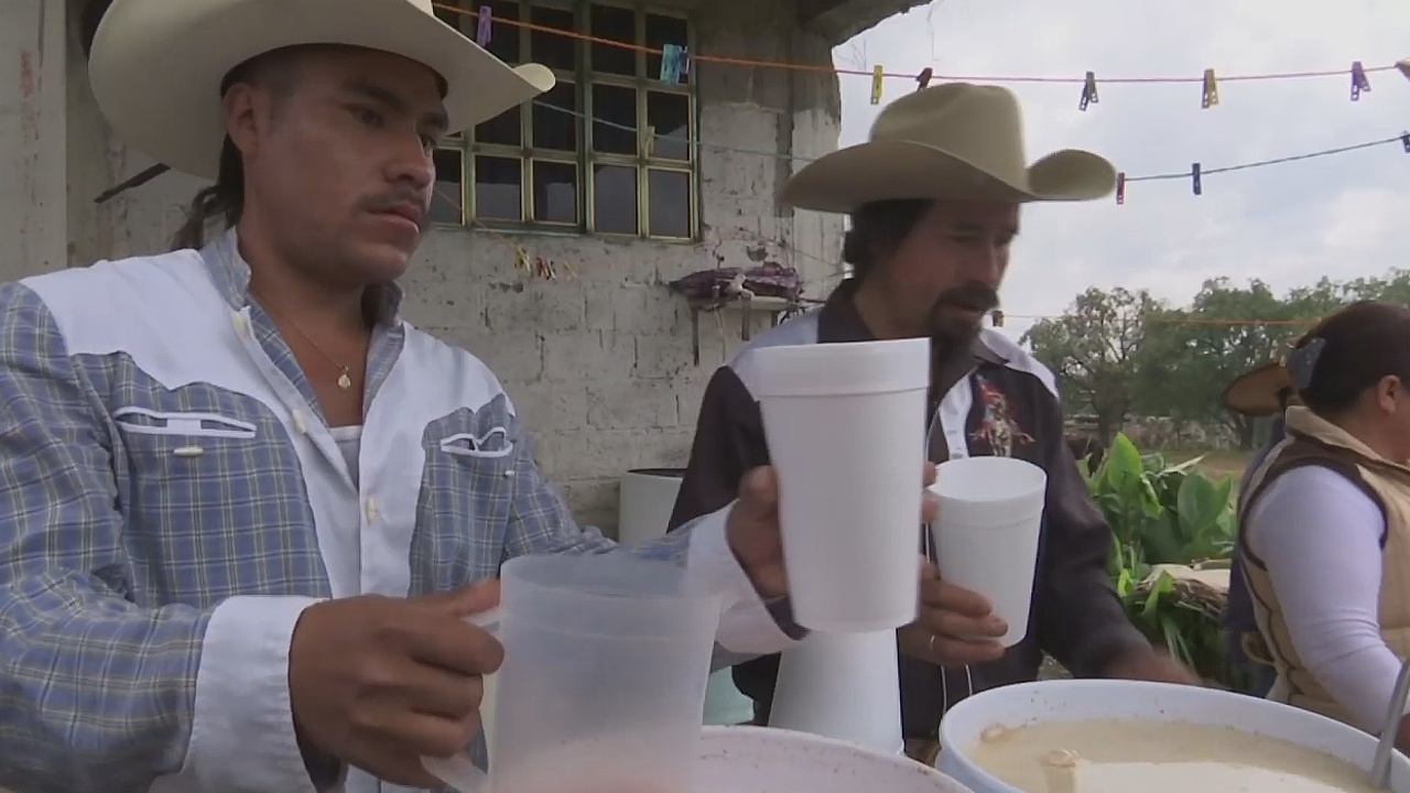 Напиток пульке возвращает себе популярность в Мексике