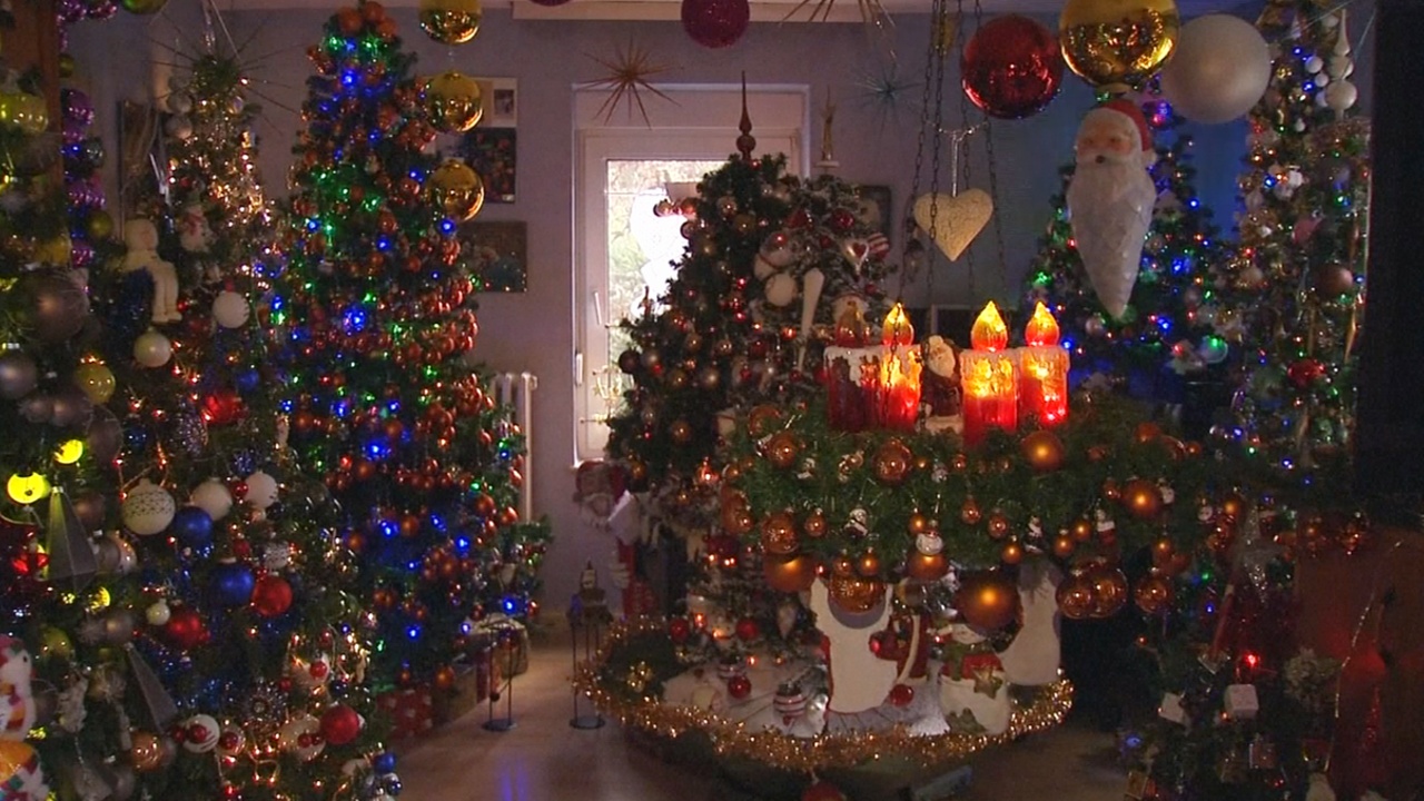 100 рождественских елей украсили дом в Германии