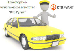 Чем удобна помощь водителя на один день?