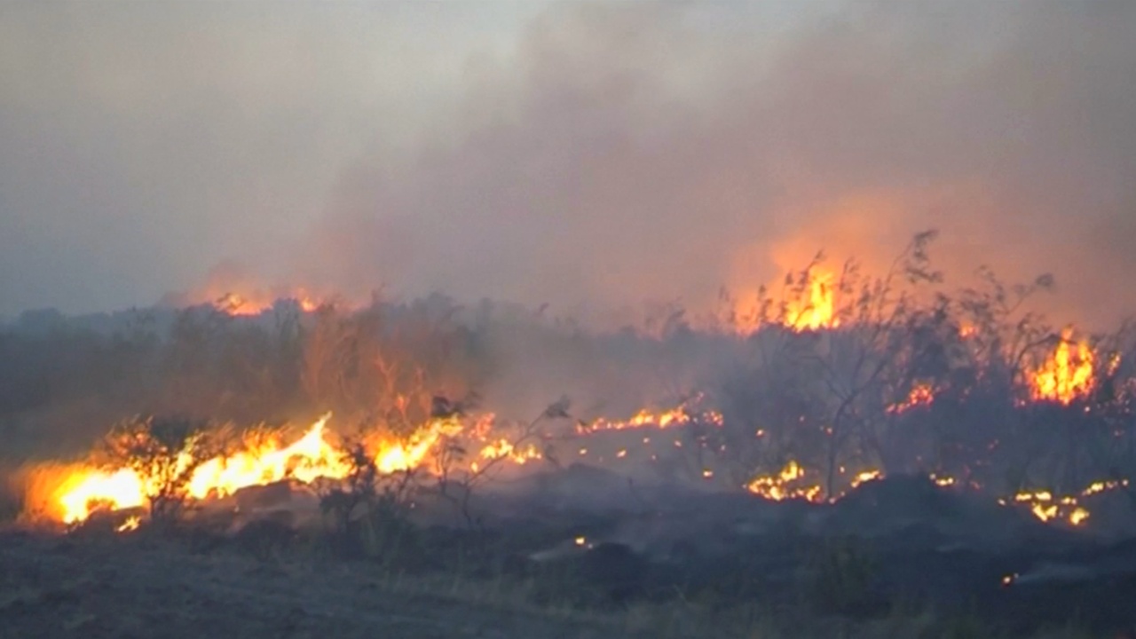 В Аргентине выгорело более миллиона гектаров степей