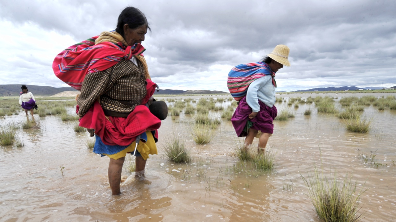В Перу и Боливии начались наводнения