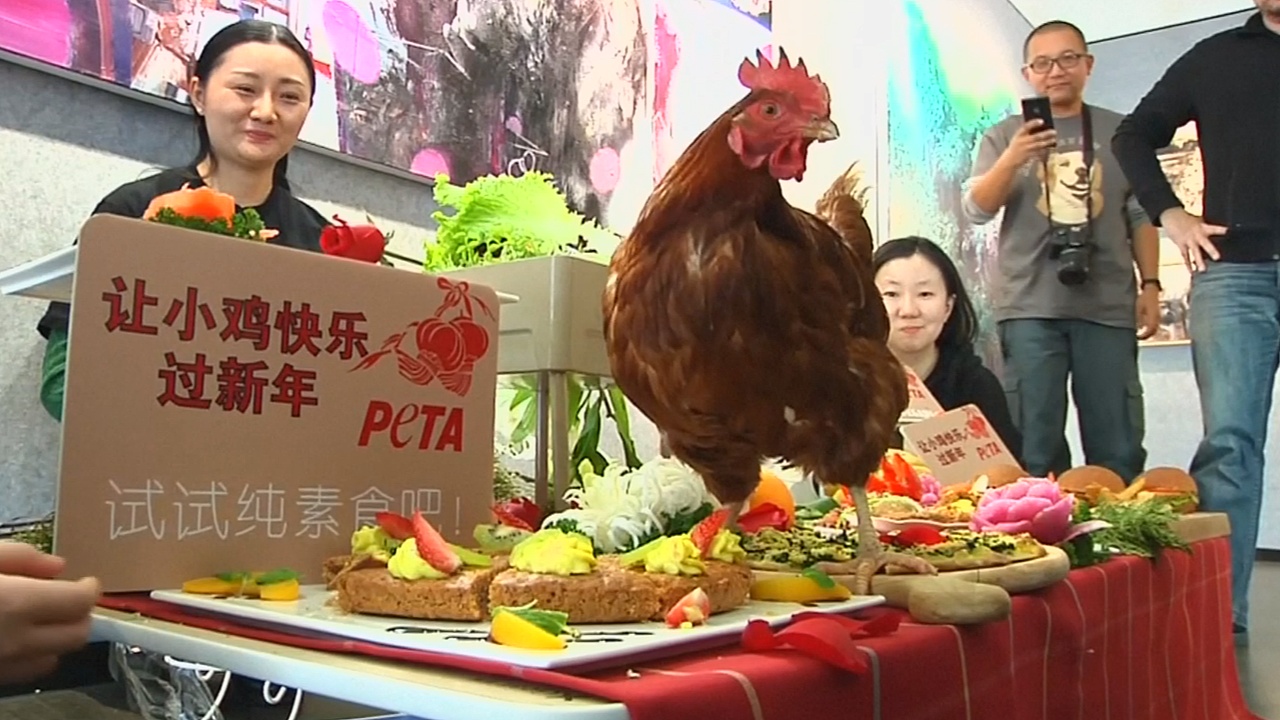 Китайцам предлагают отказаться от курятины на новогоднем столе