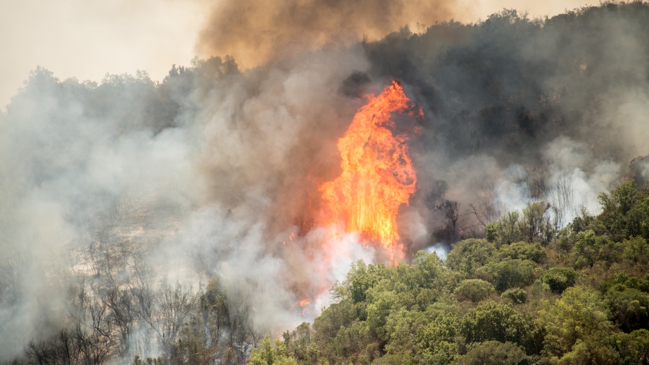 Президент Чили: «Страну охватили сильнейшие пожары в истории»