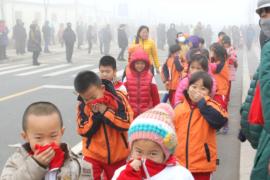 Год Петуха в Пекине начался с ядовитого смога