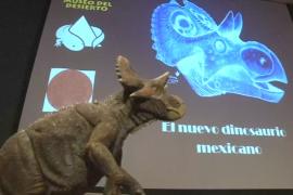 В Мексике представили новый вид травоядного динозавра