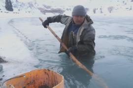 Кыргызы добывают золото на реке в 40-градусные морозы