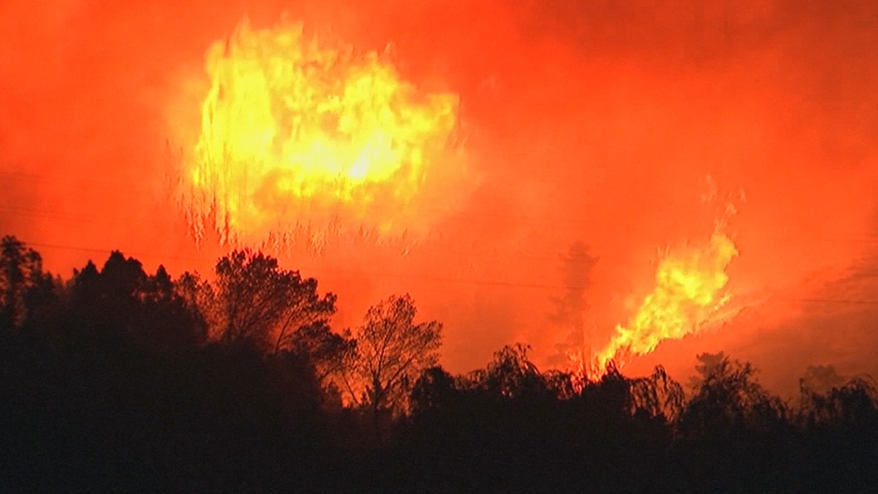 1000 человек эвакуированы в Новой Зеландии из-за лесного пожара