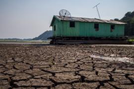Бразильцам не хватает воды из-за засухи