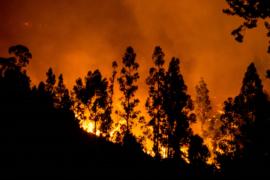 3000 человек эвакуированы в Чили из-за нового пожара