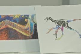 Мягкие ткани на костях динозавра обнаружили благодаря лазеру