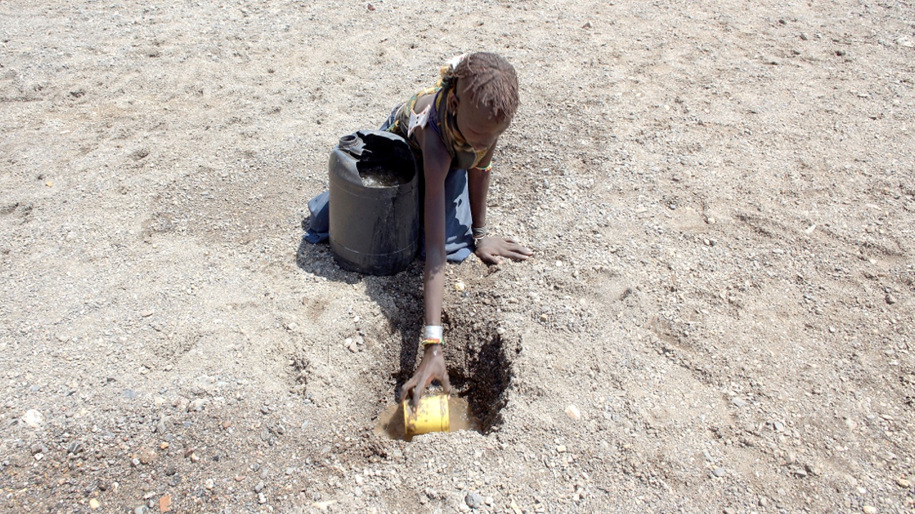 ООН: миллионам кенийцев угрожает голод из-за засухи