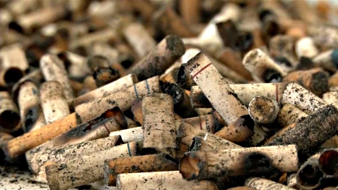 В Бразилии из сигаретных окурков делают бумагу
