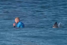 Переживший нападение акулы сёрфингист вернулся в спорт