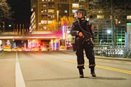 В Норвегии повысили уровень террористической угрозы