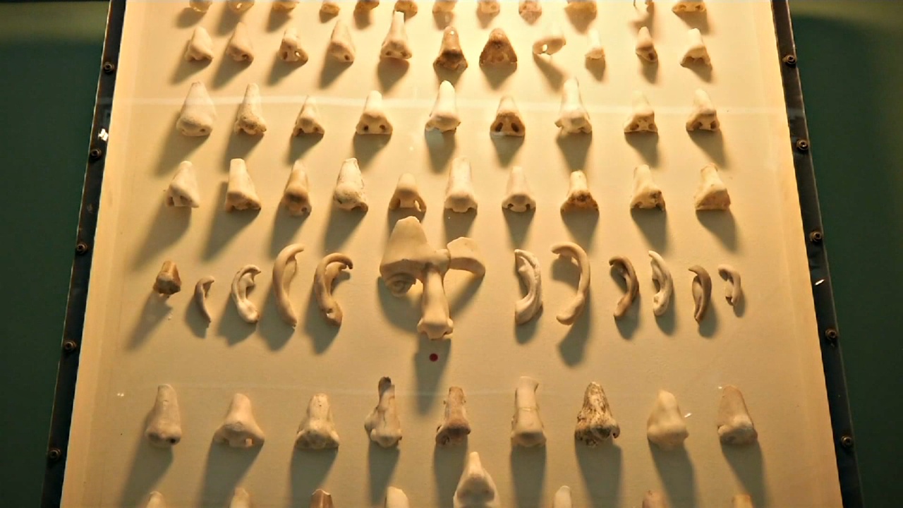В датском музее создали коллекцию мраморных носов и ушей