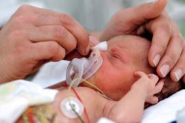 Искусственная утроба поможет недоношенным детям