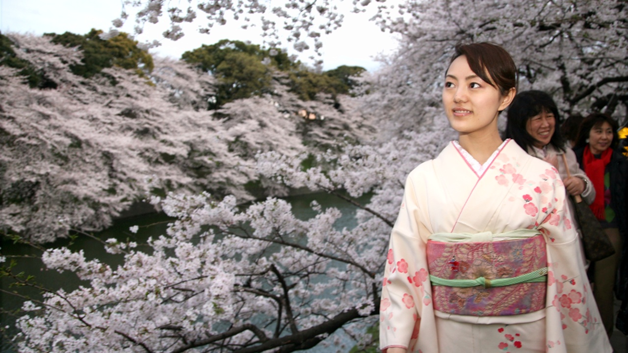Токийцы идут в парки любоваться цветением сакуры