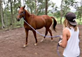 Лошади помогают детям исцелиться от душевных травм