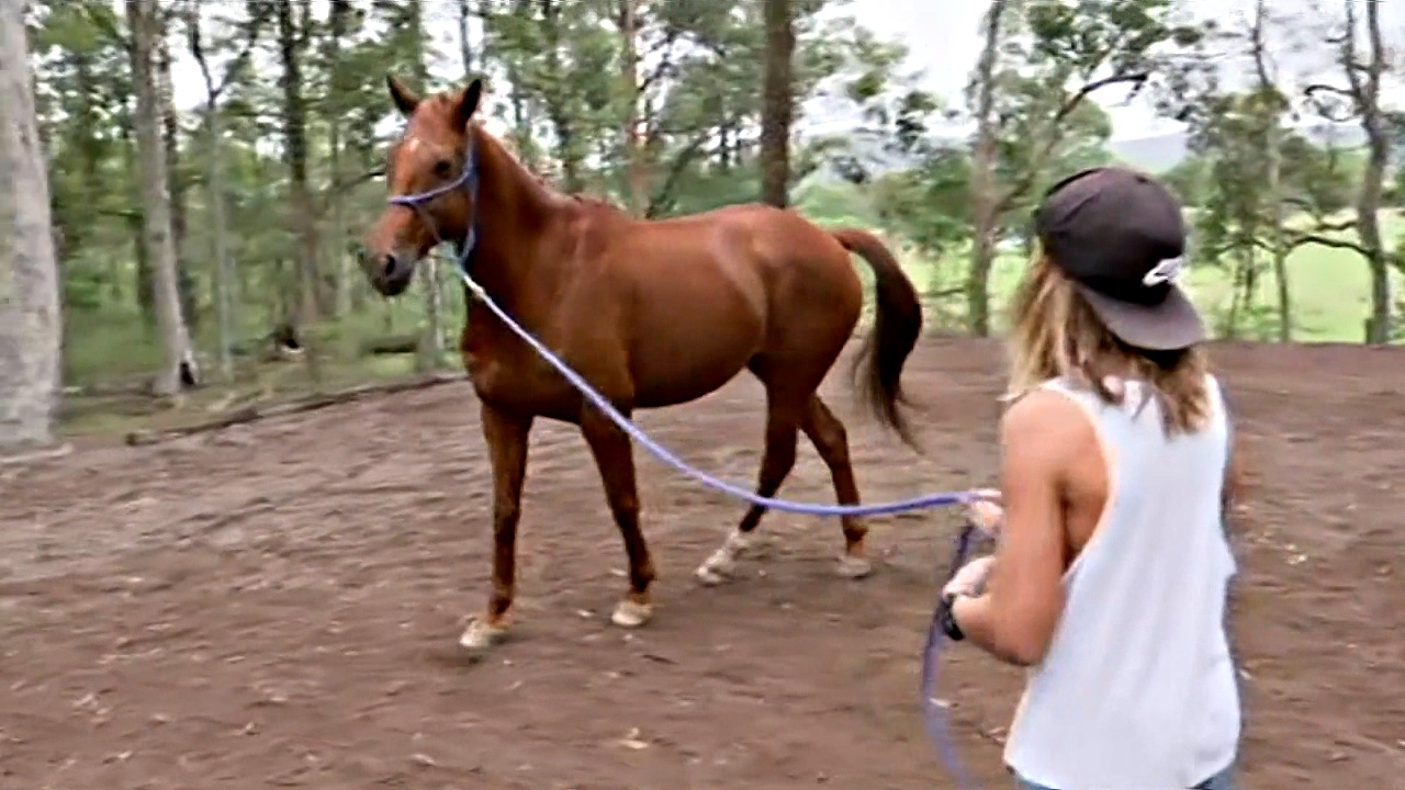 Лошади помогают детям исцелиться от душевных травм