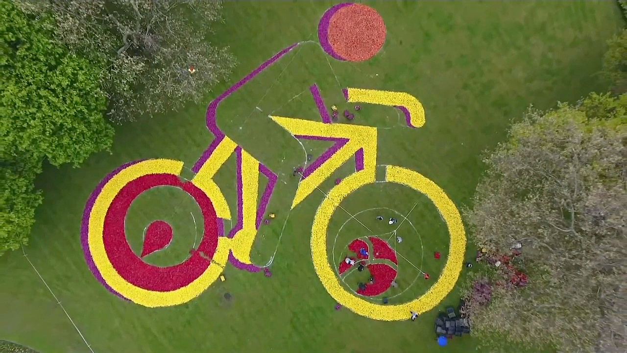 Гигантский велосипедист из тюльпанов украсил парк в Познани