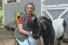 Слепая женщина потратила все деньги на лечение лошади-поводыря