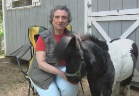 Слепая женщина потратила все деньги на лечение лошади-поводыря