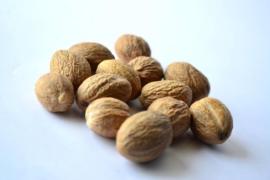 ТОП-5 продуктов, укрепляющих иммунитет